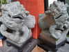 5042-pair-of-chinese-stone-guardian-lions