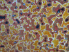 5074-japanese-lacquer-display-stand